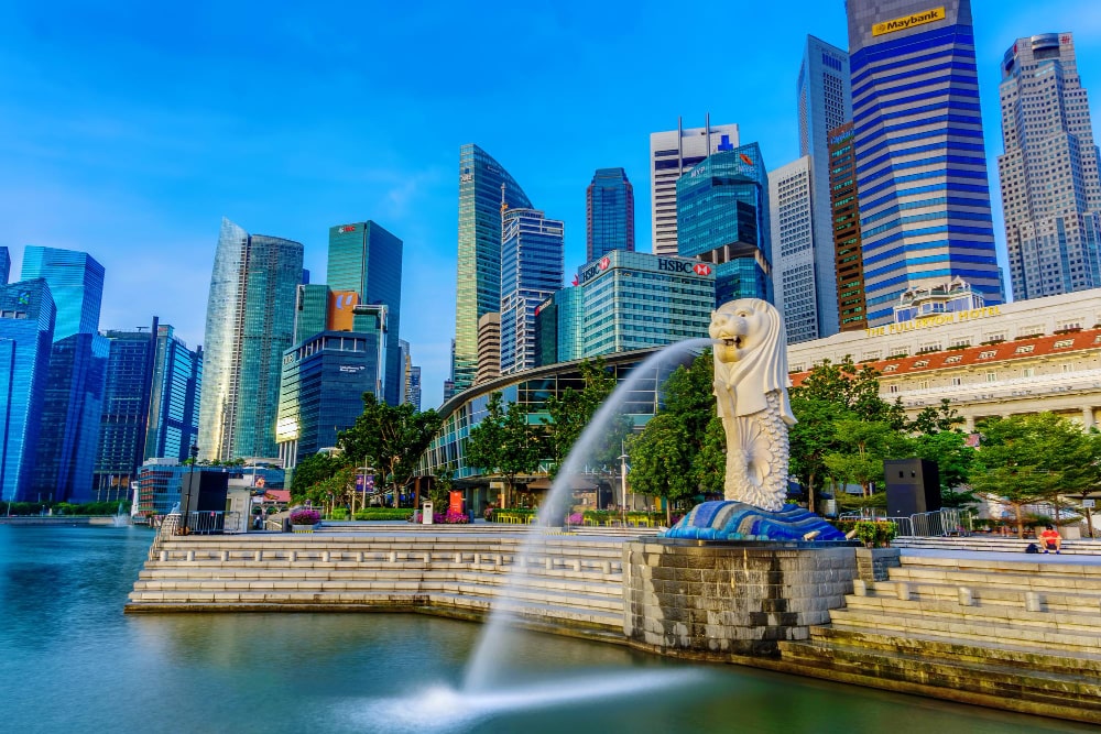 Affordable Web Design Agency for Growing Businesses in Singapore